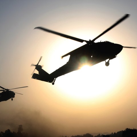 ISP Brief Newsletter